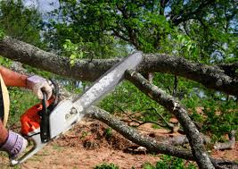 Best Lot and Land Clearing  in Centerport, NY